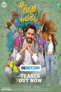 Aa Okkati Adakku (2024) South Indian Hindi Dubbed