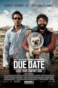 Due Date (2010) Hollywood Hindi Dubbed